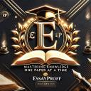 Essayproff's server