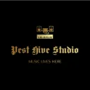 Pest Hive Studios ARCHIVE's icon