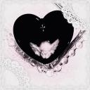 ✞𝓔𝓽𝓮𝓻𝓷𝓪𝓵 𝓨𝓾𝓶𝓮𝓼✞