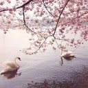 sweet hearts