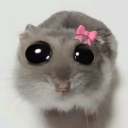 Rat Land 🎀 Discord server icon