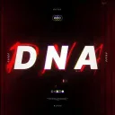 D N A COMMUNITY