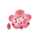 China Airlines Virtual | 中華航空