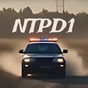 [NTPD1] Nitro Type Police Discord Server Icon