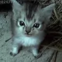 mey !! ☆