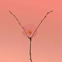 𝐒𝐩𝐚𝐫𝐭𝐚|𝐊𝐨𝐬