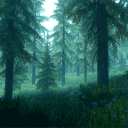 .🌲 ݁˖🍃: Into the Woods Discord server icon