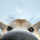 ABLA'S UN RATO?'s icon