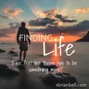 Finding LIFE! ☀🌱😊