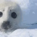 ARO
