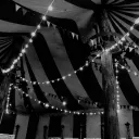 🎪 × Circus of Wonders