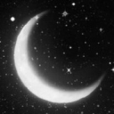 Moonlit Sanctuary