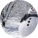Frostborn Scouts