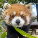 𝙇𝙤𝙫𝙞 ┊𝘓𝘨𝘣𝘵 ౨ৎ﹒ banner