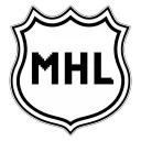 Minecraft Hockey League