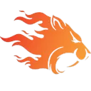 TIGER AIO