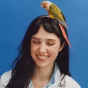 Clairo Cord