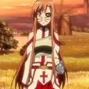 Shiro's Silver Shields