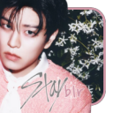 Stayblr ♫⋆。♪+♬゚. ̊⊹