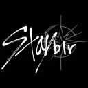 Stayblr ♫⋆｡♪₊♬ﾟ.˚⊹