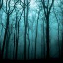 samsa-eden-county-west-virginia-disboard-discord-server-list