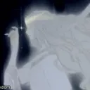 Shadows of Light