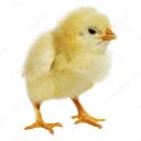   Economy Place    (Edycja 2 Sezon 1) Discord Server Icon