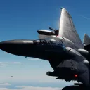 DCS F-15 Community Server