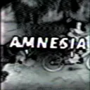 Amnesia Leaks