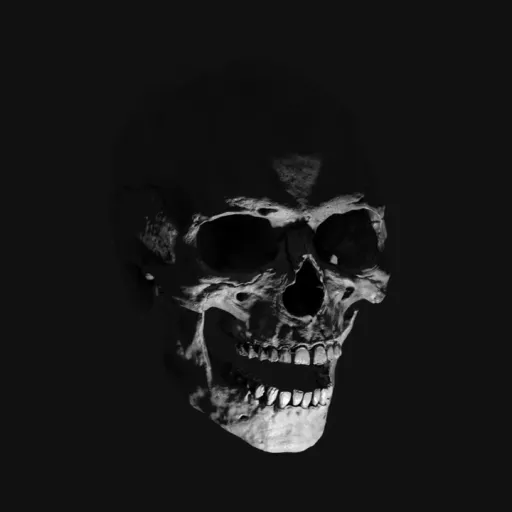 Скимити・БЕЗ ПРАВИЛ! — мониторинг Discord сервера, статистика и рейтинг