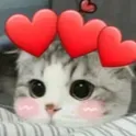DXE!~