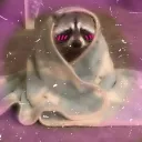 Raccoon Community 🦝