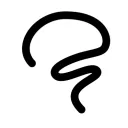 Big Brain