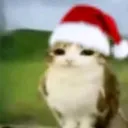 jolly meowl