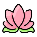 Bodhi App