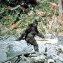 Bigfoot Club at Virginia Tech