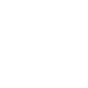 ━✦