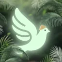 Whitedove × 🏮 [закрыто]