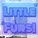 Little Furs (18+ SFW) Littlespace