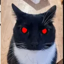 Crash's Silent Place server icon