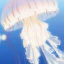 Simons feet Discord server icon