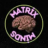 Matrix of Minds