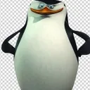 Skipper