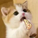 湯湯的碗