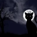 Black Cat Corner