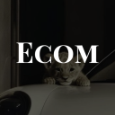 Ecommerce - Learn/Innovate/Profit