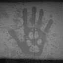 𝚃𝙷𝙴 𝙸𝙽 𝚅𝙸𝚅𝙾 𝙿𝚁𝙾𝙹𝙴𝙲𝚃. Discord server icon