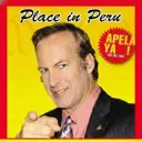 Apelación PiP 🔨