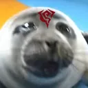 bingseal religion