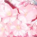 ☽✾☆𝓢𝓪𝓴𝓾𝓻𝓪 𝓢𝓪𝓯𝓮 𝓟𝓵𝓪𝓬𝓮☆✾☽